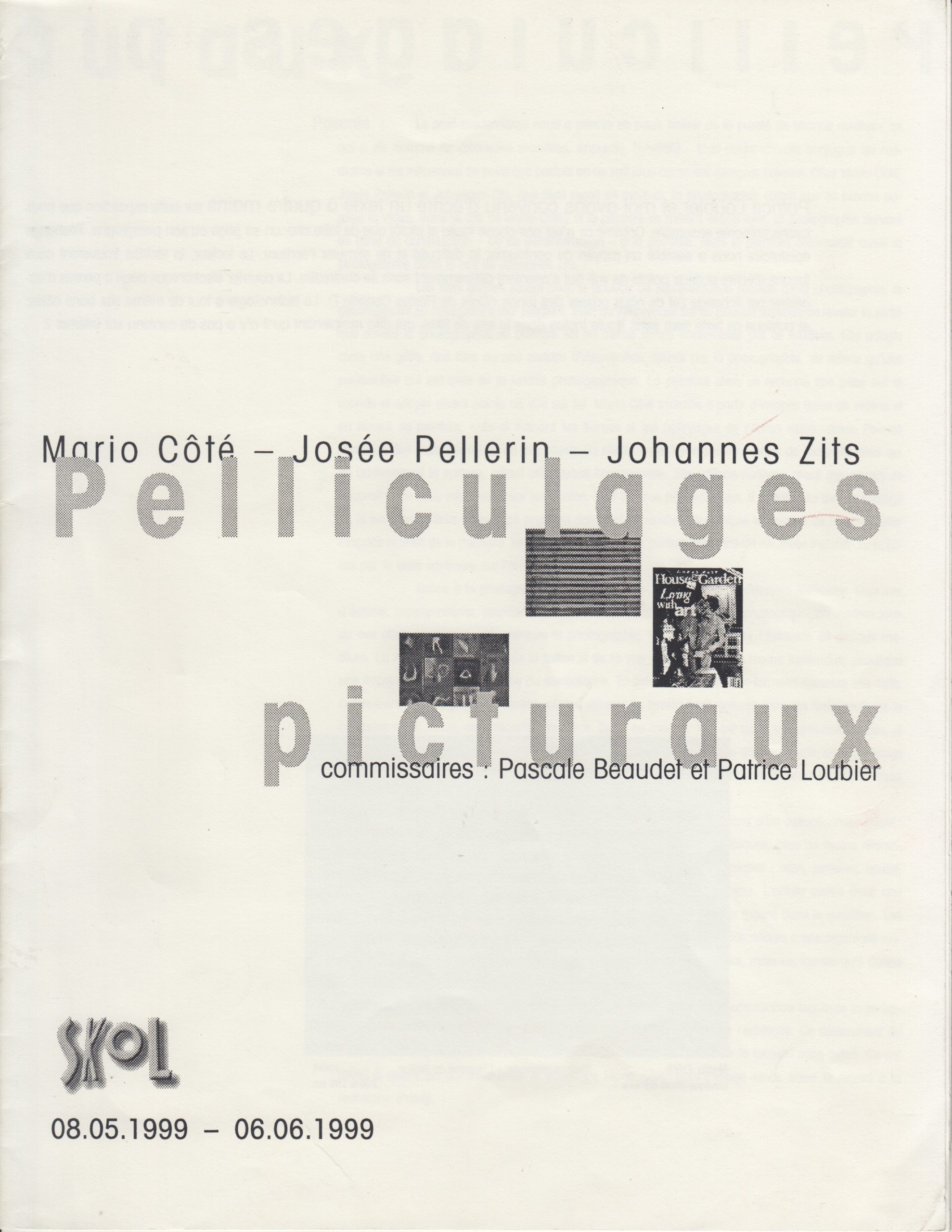 Pelliculages picturaux, Pascale Beaudet, Patrice Loubier, 1999