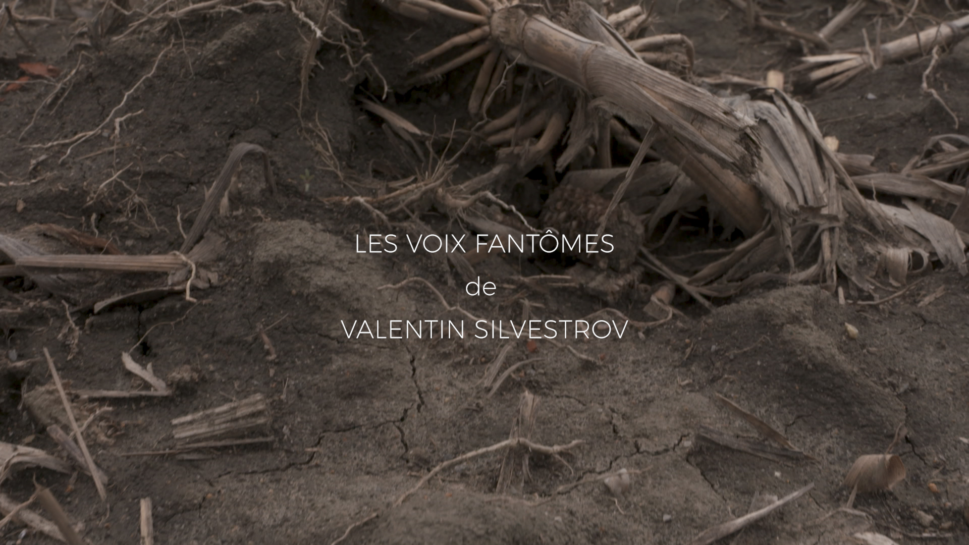 Les voix fantômes de Valentin Silvestrov, 2023
